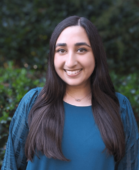 Raleigh, North Carolina therapist: Ameenah Ikram, psychologist